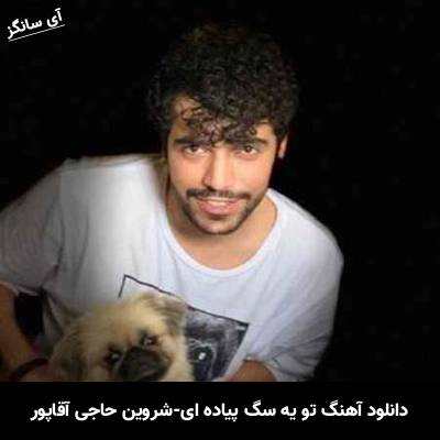 دانلود آهنگ شروین حاجی آقاپور تو یه سگ پیاده ای